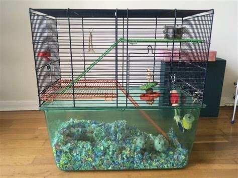 2 cute grey gerbils, cage, travel cage and other bits included | in Bushey Heath, Hertfordshire ...