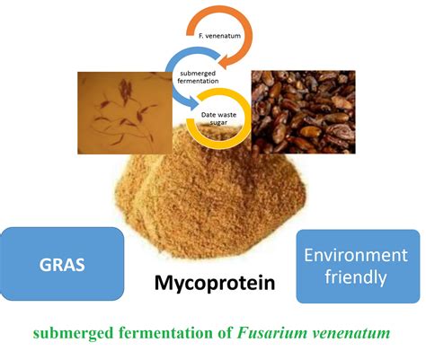 Mycoprotein Production from Date Waste Using Fusarium venenatum in a Submerged Culture | Applied ...