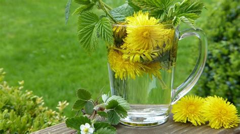 Best Way to Make Dandelion Root Tea | Home Remedies