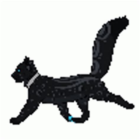 Cat Walking Sticker - Cat Walking Fancy - Discover & Share GIFs