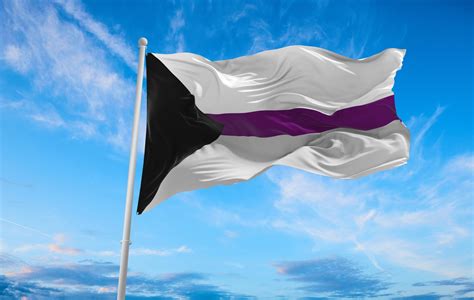 Demisexual Pride Flag - Grand Rapids Pride Center