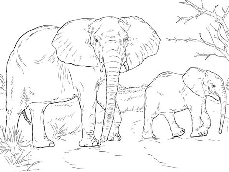 African Elephants Coloring Page - Free Printable Coloring Pages for Kids