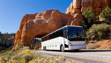 Is It Better To Drive To Grand Canyon Or Take Tour Bus? – Road Topic