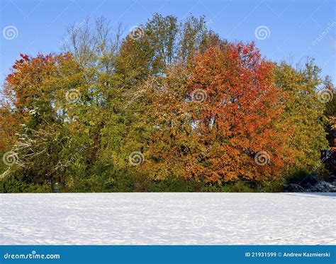 Autumn Snow Landscape stock image. Image of landscape - 21931599