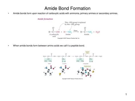 PPT - Amide Bond Formation PowerPoint Presentation, free download - ID:608638