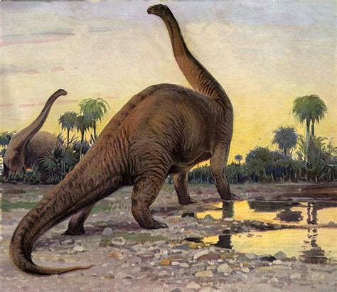 8 Interesting Facts About Brontosaurus - OhFact!