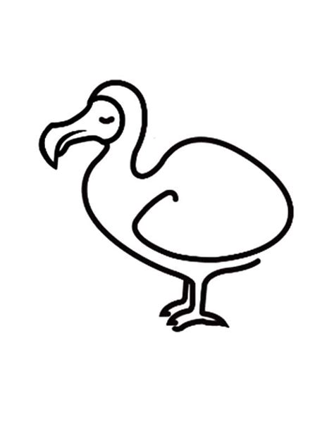 How to Draw Dodo Bird Coloring Pages - NetArt | Bird coloring pages, Coloring pages, Drawings