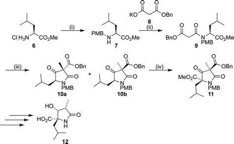Formal synthesis of (+)-lactacystin from l -serine - RSC Advances (RSC ...