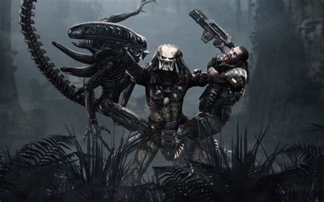 Predator Xenomorph Predator Wallpaper - Aliens Vs Predator - 1920x1080 ...