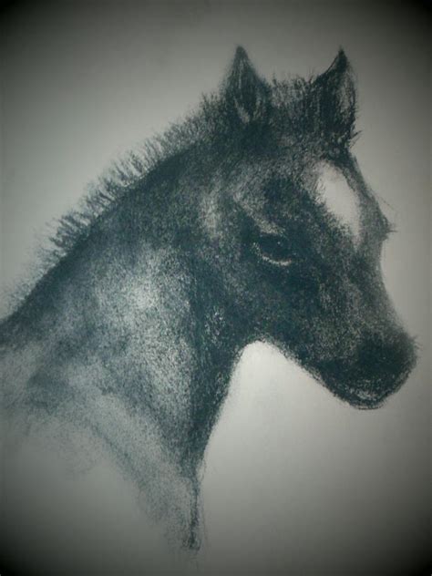 Colt Drawing by Safa Khawaja