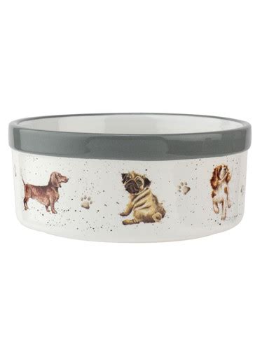 Dachshund Dog Bowls