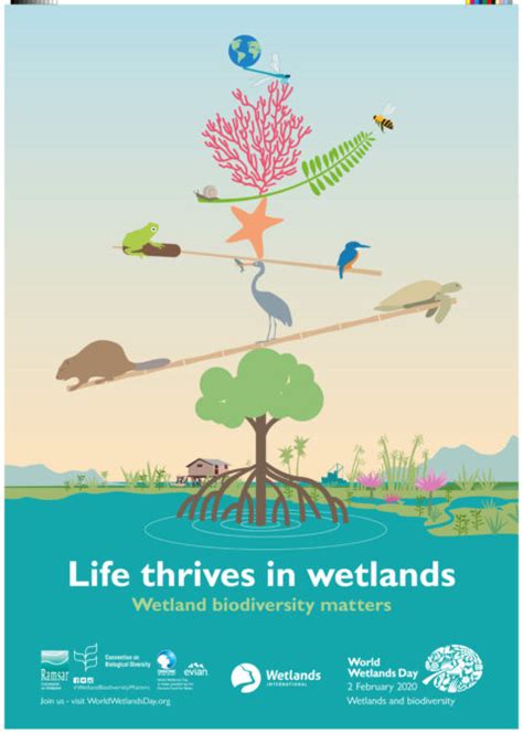 World Wetlands Day 2020 - Wetlands International South-Asia