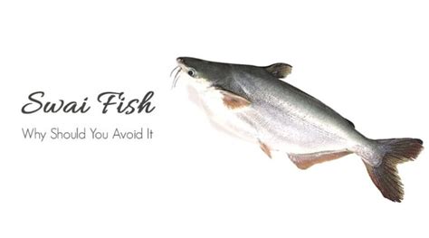 ️Swai Fish: Why You Should Avoid It | HealthtoStyle