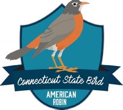 Clip Art Search Results for the term - american robin