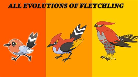 Fletchling Evolution Chart