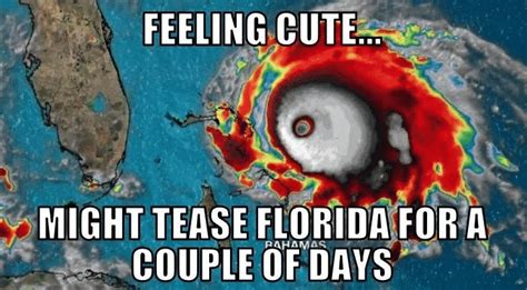 40 HURRICANE MEMES