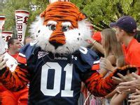 Aubie