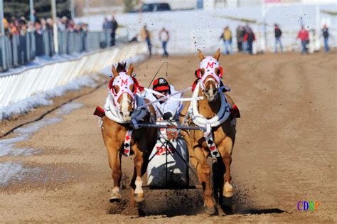 World Chariot Racing Championships - Davis County Moms