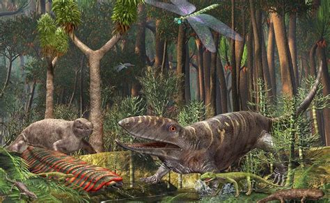 The Carboniferous Period | Dinosaurs - Pictures and Facts