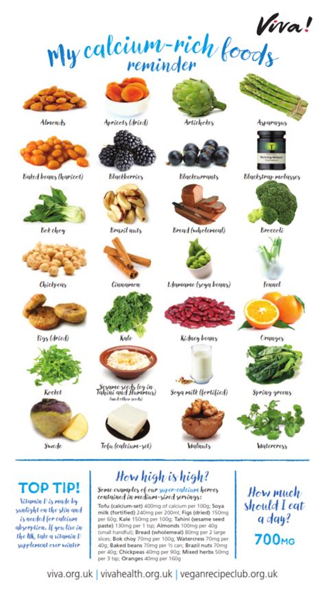 Calcium Nutritional Poster | Foods with calcium, Diet and nutrition, Vegan nutrition