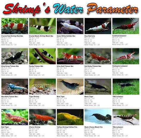 Aquarium Shrimp Chart