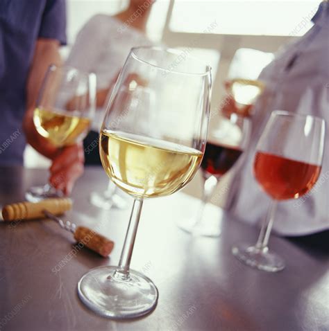 People drinking wine - Stock Image - M370/0931 - Science Photo Library