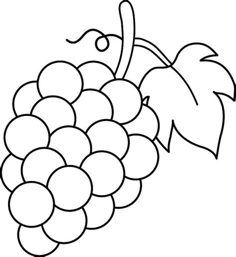 Grapes Coloring Pages - Best Coloring Pages For Kids | Fruit coloring ...