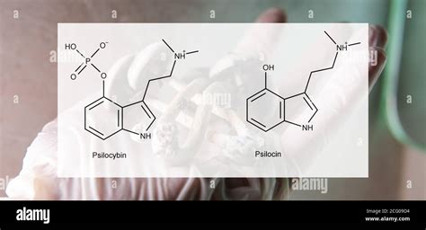 the medical effects of psilocybin and psilocin on the psychological and ...