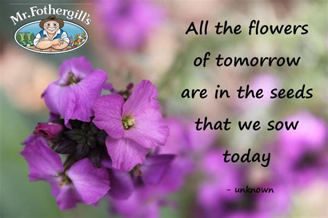 All the flowers of tomorrow are in the seeds that we sow today ~ unknown. Indian Proverbs, Grad ...