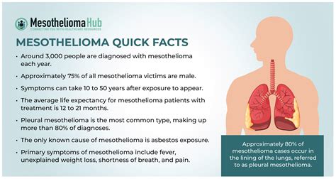 Mesothelioma Symptoms, Stages, Treatment, & Legal Options