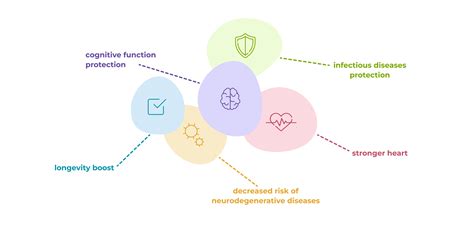 Simple’s Guide on Autophagy: Everything You Need to Know