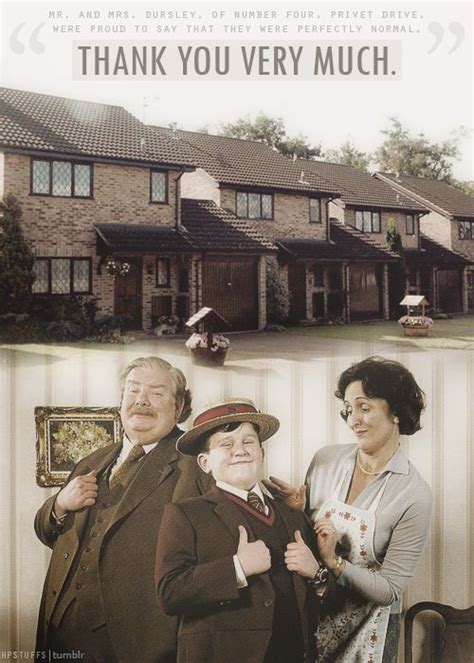 Mr. & Mrs. Dursley & Vernon | Harry potter, Harry potter love, Harry ...