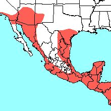 Abe's Animals: Jaguar range in North America