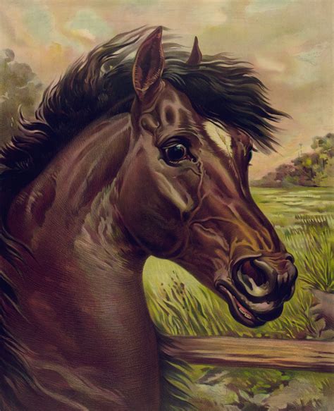 Vintage Horse Painting Free Stock Photo - Public Domain Pictures