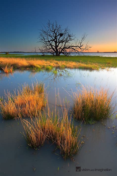 Coongie Lakes | located about 100km north west of Innamincka… | Flickr