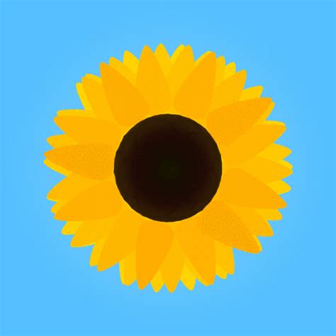 New party member! Tags: summer sun flower sunny breezy warm blooming ...