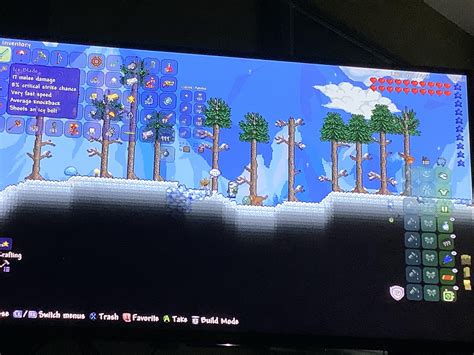 Cursed_seeds : r/Terraria