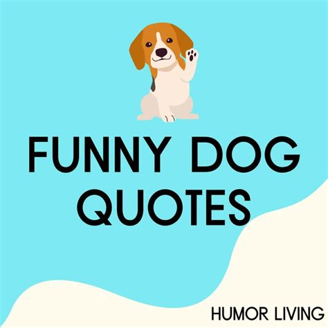 65+ Funny Dog Quotes to Make You Bark With Laughter - Humor Living