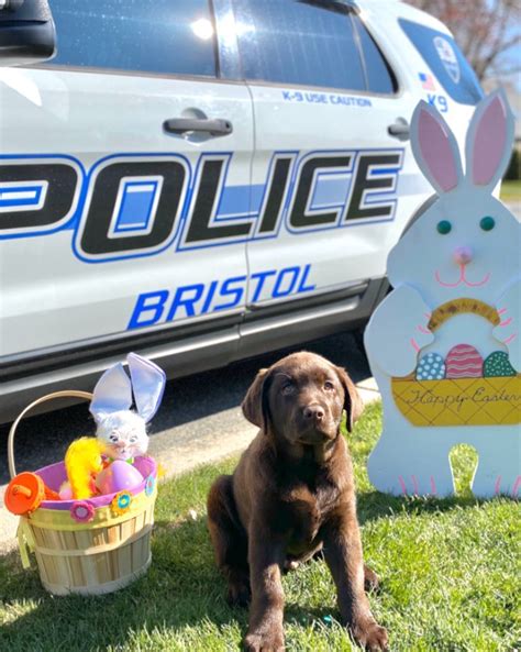 Adorable Police Puppy Sleeps Through His Entire Swearing-In Ceremony