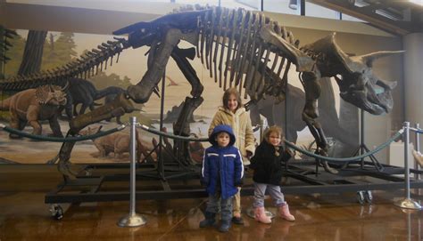 The Five of Us: Fossil Museum Fun