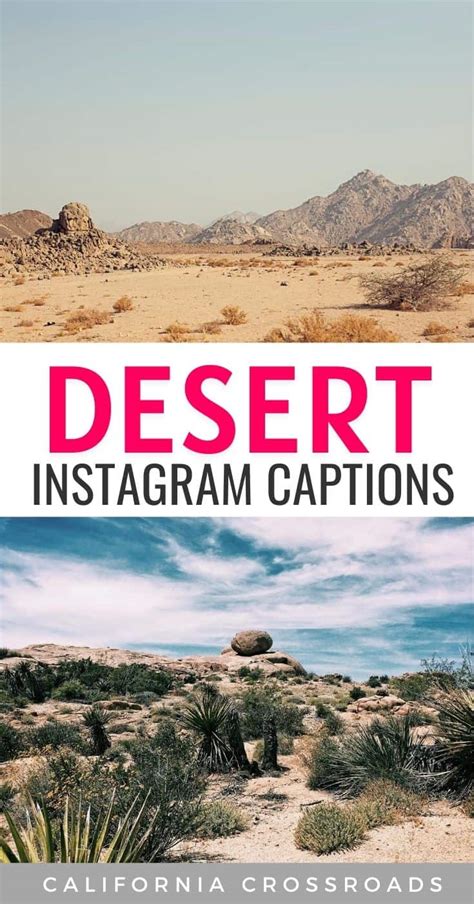 150 Inspiring, Beautiful & Funny Desert Quotes - California Crossroads