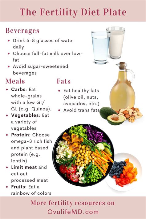 Foods to Include in Your Fertility Diet | Fertility diet, Foods to boost fertility, Fertility ...