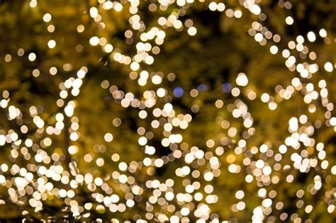 Where to Find Christmas Light Displays in Charlotte - Charlotte Parent