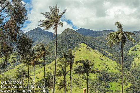 Best Wax Palms Colombia Cocora Valley - Trans-Americas Journey