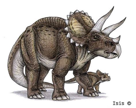 Triceratops by IsisMasshiro on DeviantArt