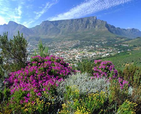 Table Mountain - South Africa | Cape Town and Table Mountain… | Flickr