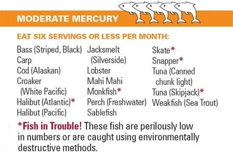 Fish And Mercury - What You Need to Know