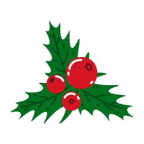 Holly tree branch with red berries, veiny leaves. Sprig of Christmas ...