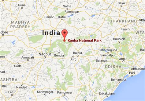 Kanha National Park Travel Guide | Kanha National Park Tour Packages |Kanha National Park Day Tour