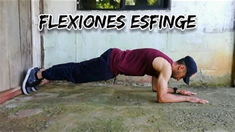 FLEXIONES ESFINGE - ejercicio para tríceps - YouTube